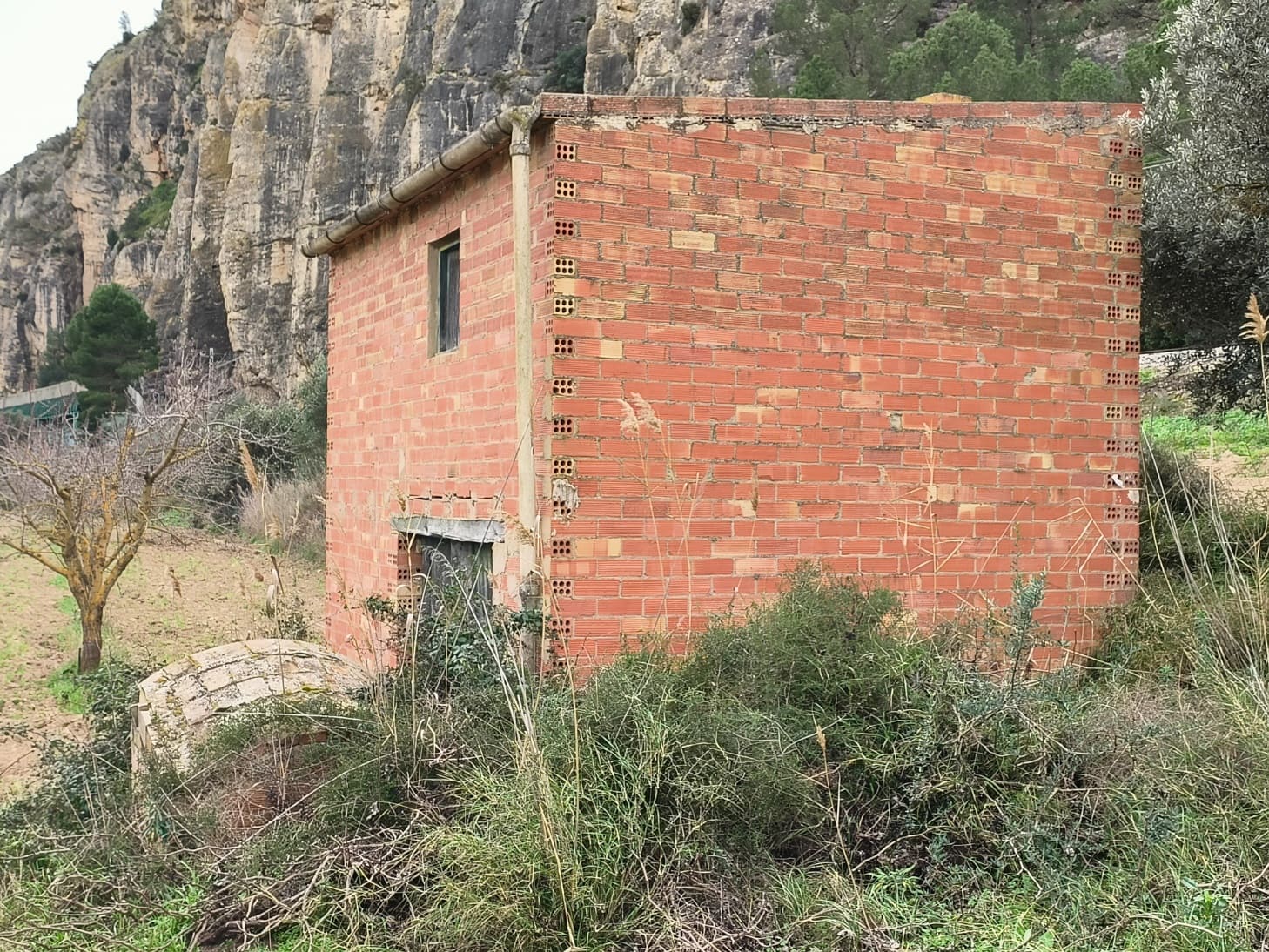 Finca/Casa di Campagna in vendita in Asco - 29.000 € (Rif: 8792996)
