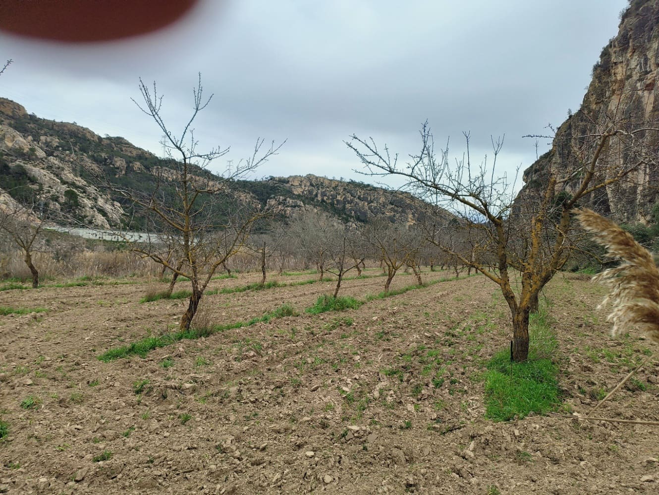 Finca/Casa di Campagna in vendita in Asco - 29.000 € (Rif: 8792996)