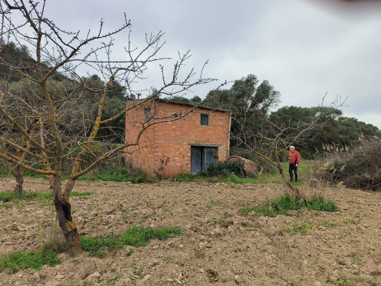Finca/Casa di Campagna in vendita in Asco - 29.000 € (Rif: 8792996)