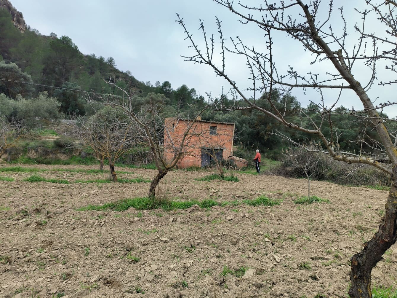 Finca/Casa di Campagna in vendita in Asco - 29.000 € (Rif: 8792996)