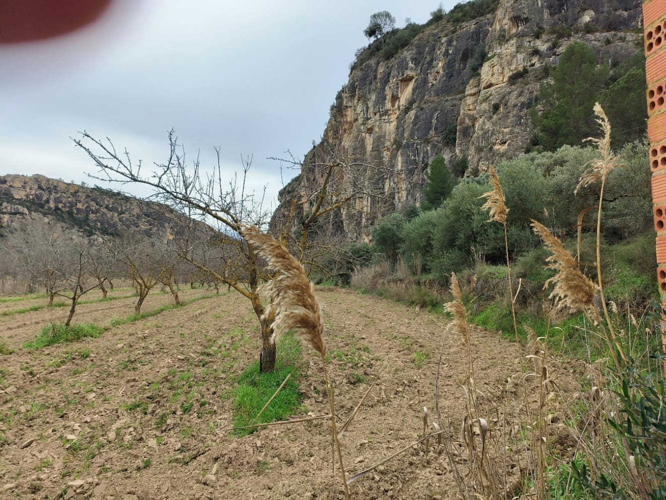 Finca/Casa di Campagna in vendita in Asco - 29.000 € (Rif: 8792996)