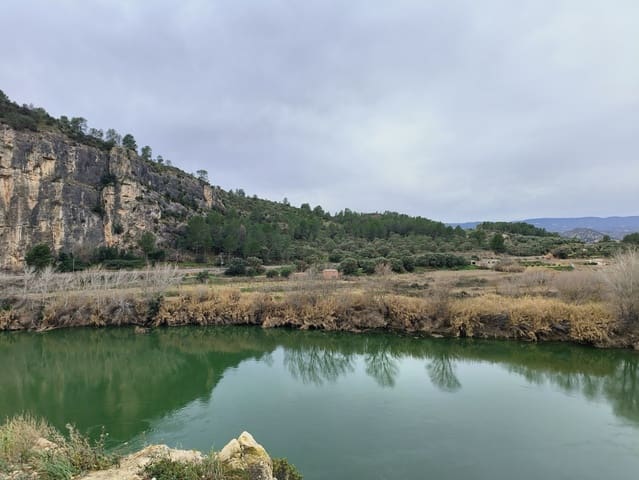 Finca/Casa di Campagna in vendita in Ascó - 29.000 € (Rif: 8792996)