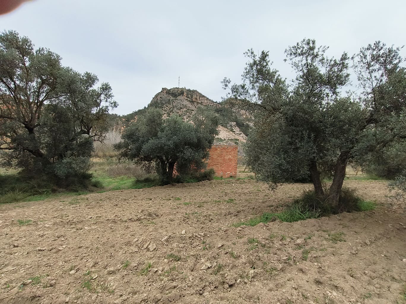 Finca/Casa di Campagna in vendita in Asco - 29.000 € (Rif: 8792996)