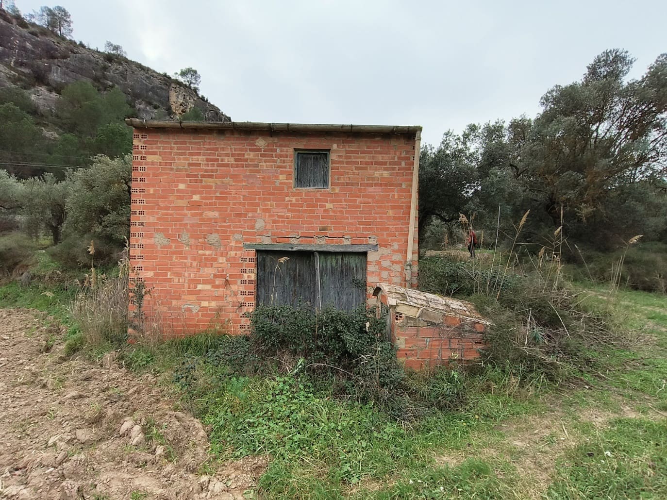 Finca/Casa di Campagna in vendita in Asco - 29.000 € (Rif: 8792996)