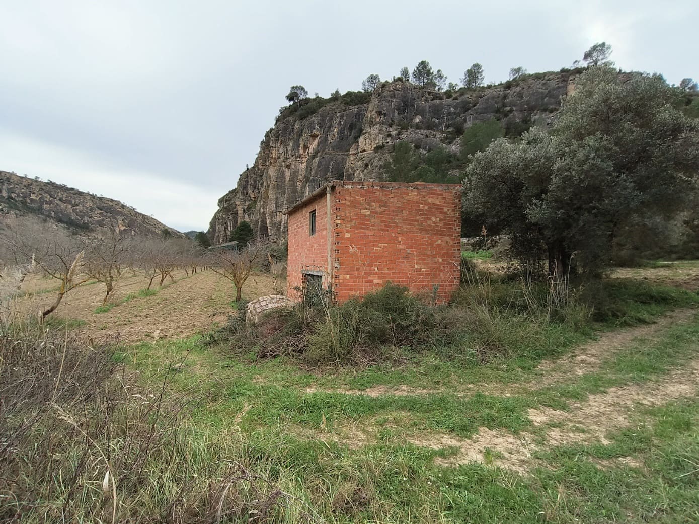 Finca/Casa di Campagna in vendita in Asco - 29.000 € (Rif: 8792996)