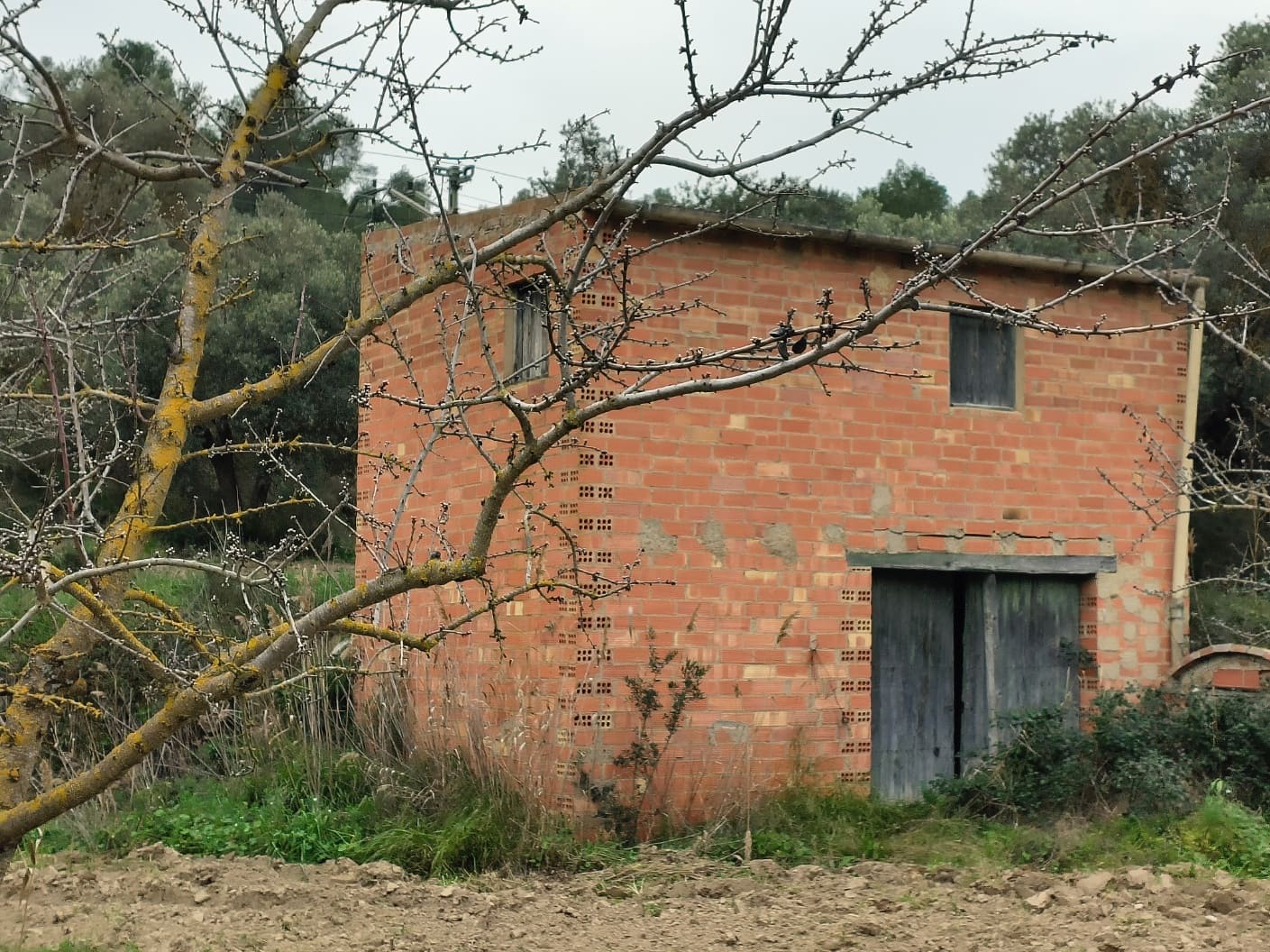 Finca/Casa di Campagna in vendita in Asco - 29.000 € (Rif: 8792996)