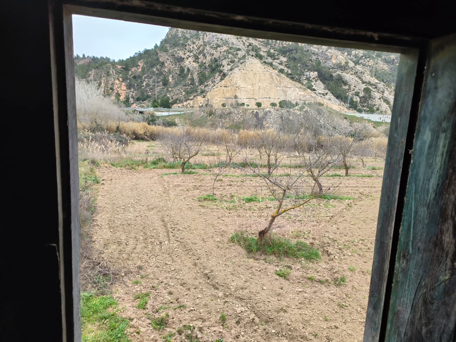 Finca/Casa di Campagna in vendita in Asco - 29.000 € (Rif: 8792996)