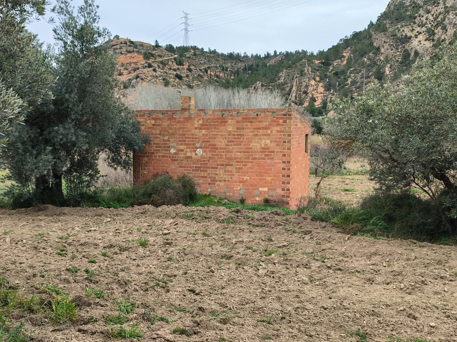Finca/Casa di Campagna in vendita in Asco - 29.000 € (Rif: 8792996)