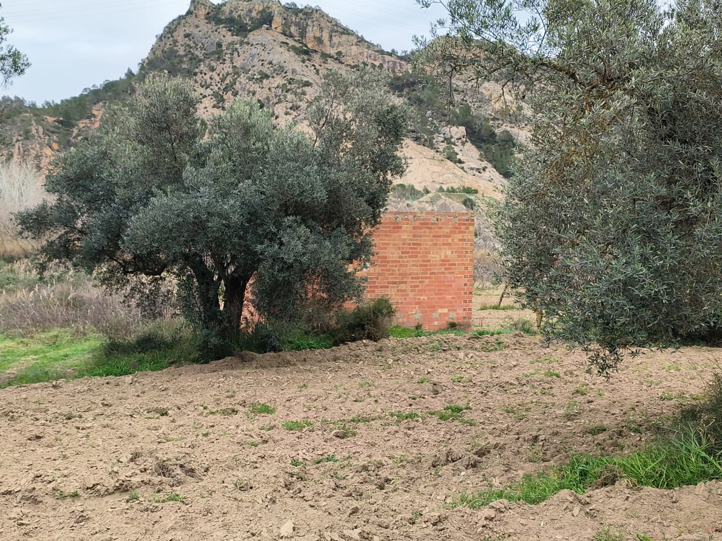 Finca/Casa di Campagna in vendita in Asco - 29.000 € (Rif: 8792996)