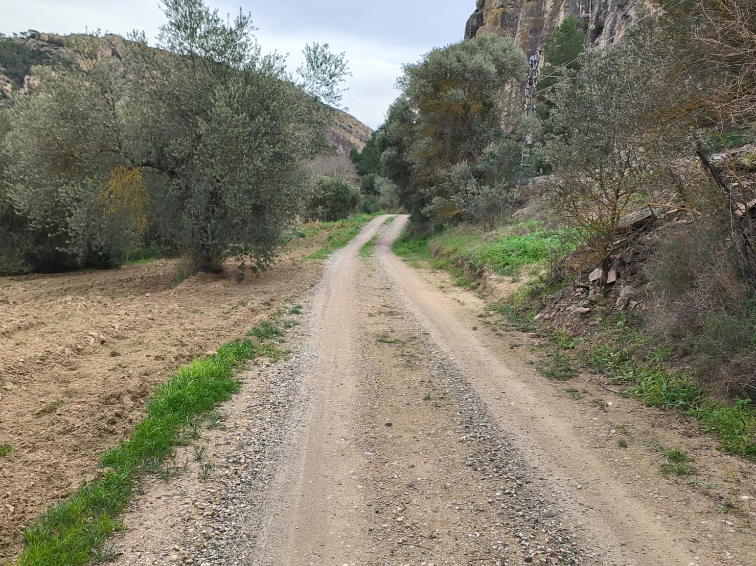 Finca/Casa di Campagna in vendita in Asco - 29.000 € (Rif: 8792996)