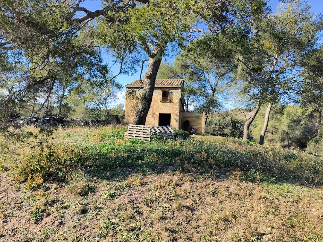 3 soveværelse Finca/Landehus til salg i Flix - € 95.000 (Ref: 8837134)