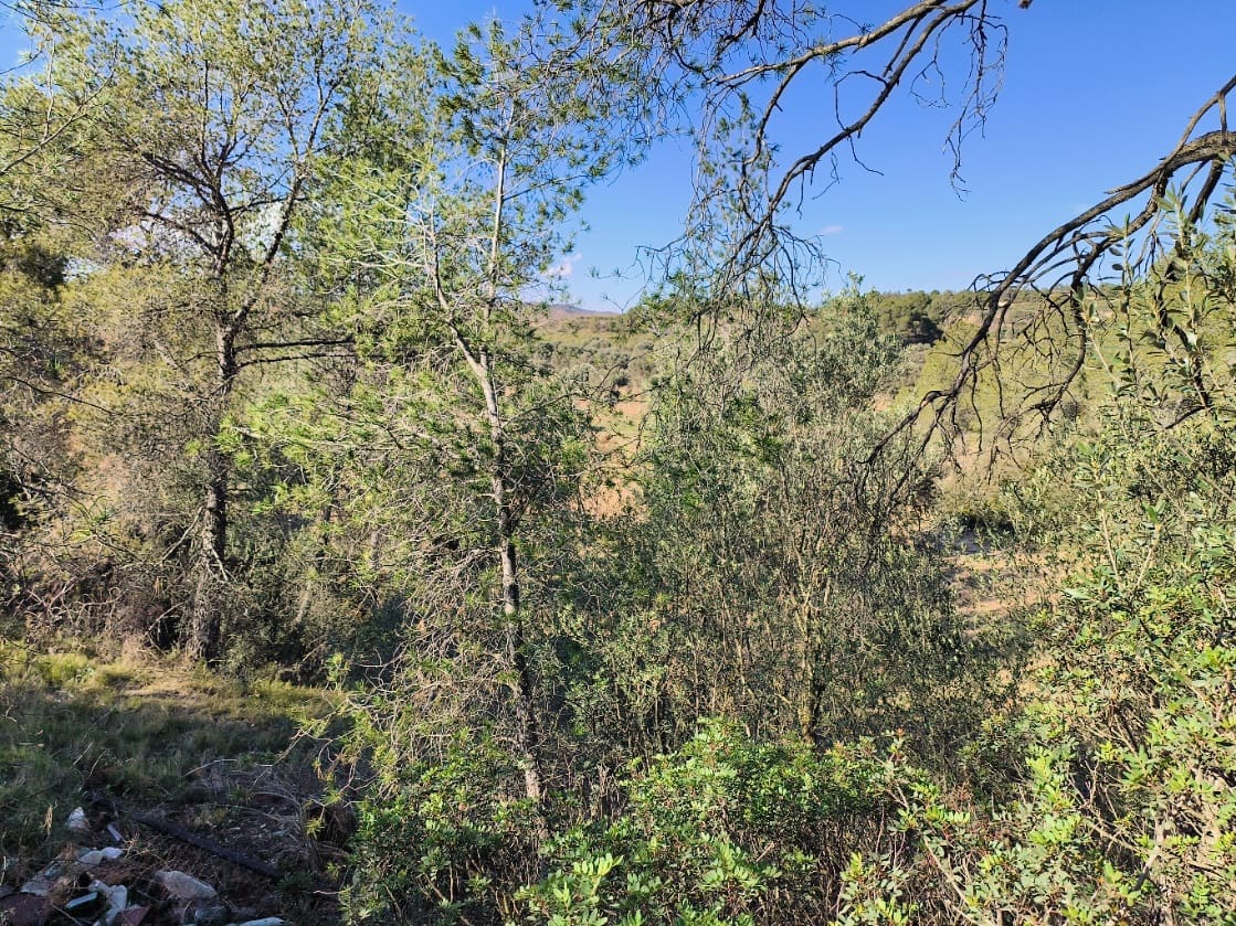 3 soveværelse Finca/Landehus til salg i Flix - € 95.000 (Ref: 8837134)