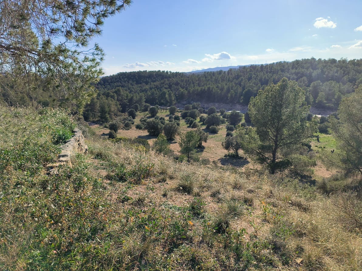 3 soveværelse Finca/Landehus til salg i Flix - € 95.000 (Ref: 8837134)