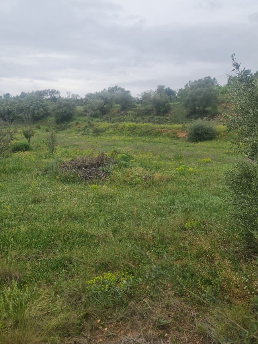 Finca/Landehus til salg i Mora d'Ebre - € 45.000 (Ref: 8935401)