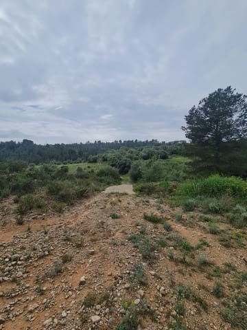 Finca/Landehus til salg i Móra d'Ebre - € 45.000 (Ref: 8935401)