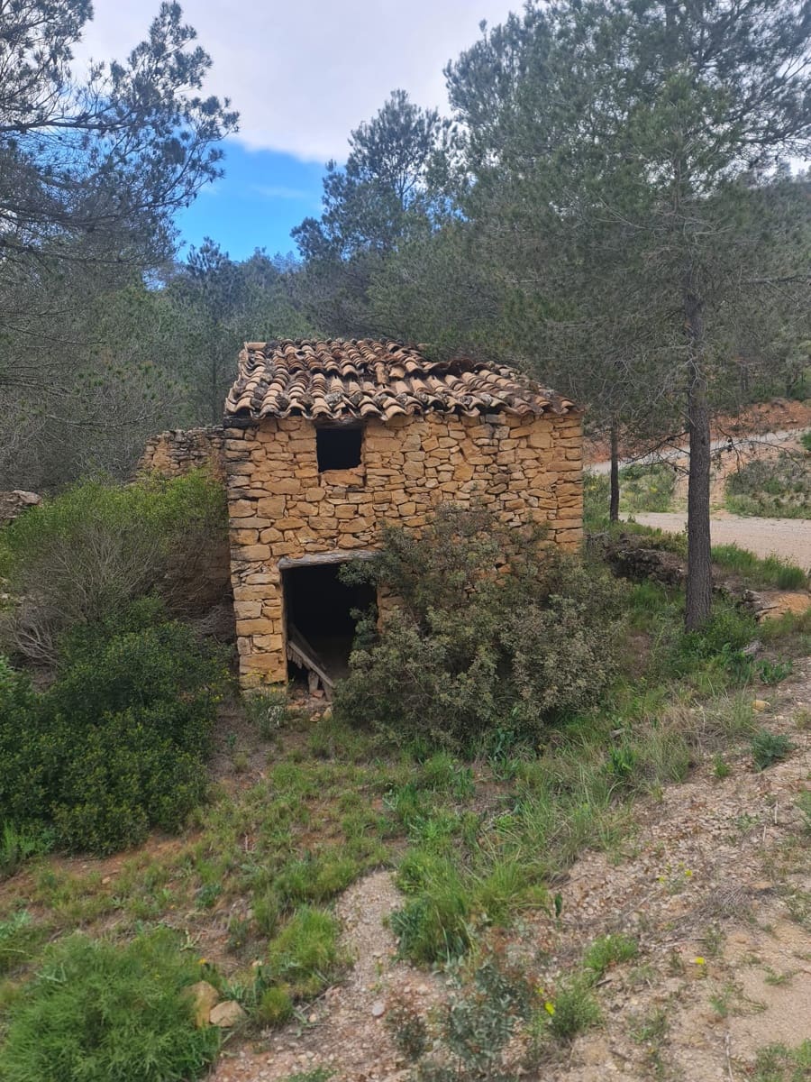 Finca/Landhuis te koop in Asco - € 12.000 (Ref: 8993913)