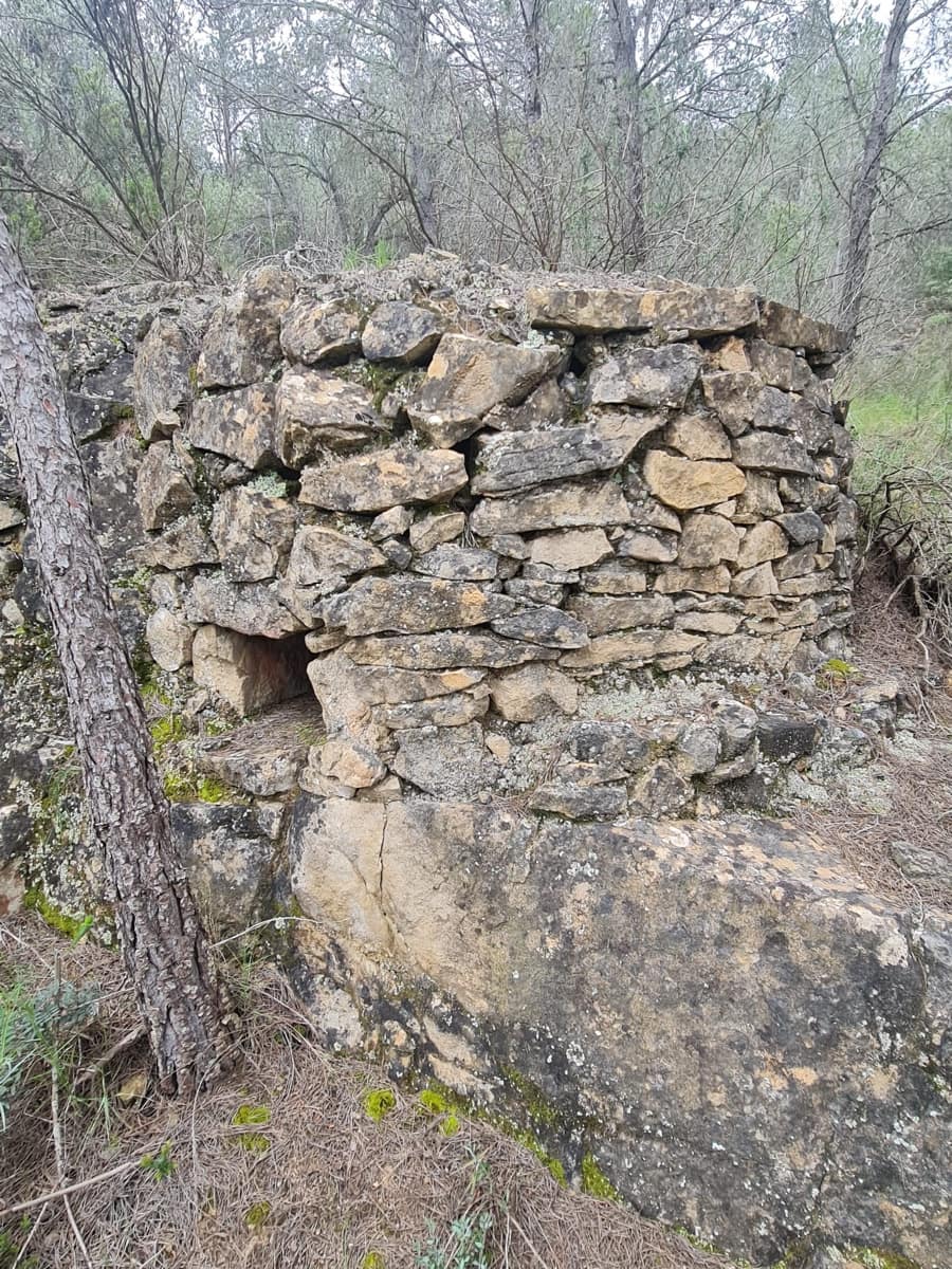 Finca/Landhuis te koop in Asco - € 12.000 (Ref: 8993913)