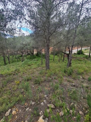 Finca/Country House for sale in Ascó - € 12,000 (Ref: 8993913)