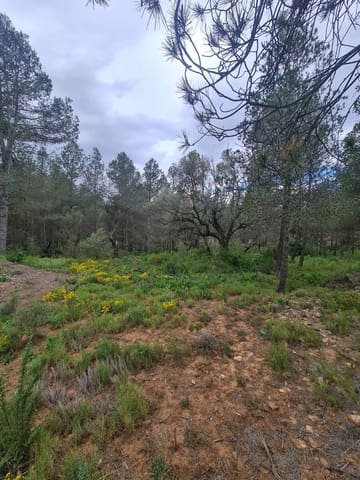 Finca/Country House for sale in Ascó - € 12,000 (Ref: 8993913)