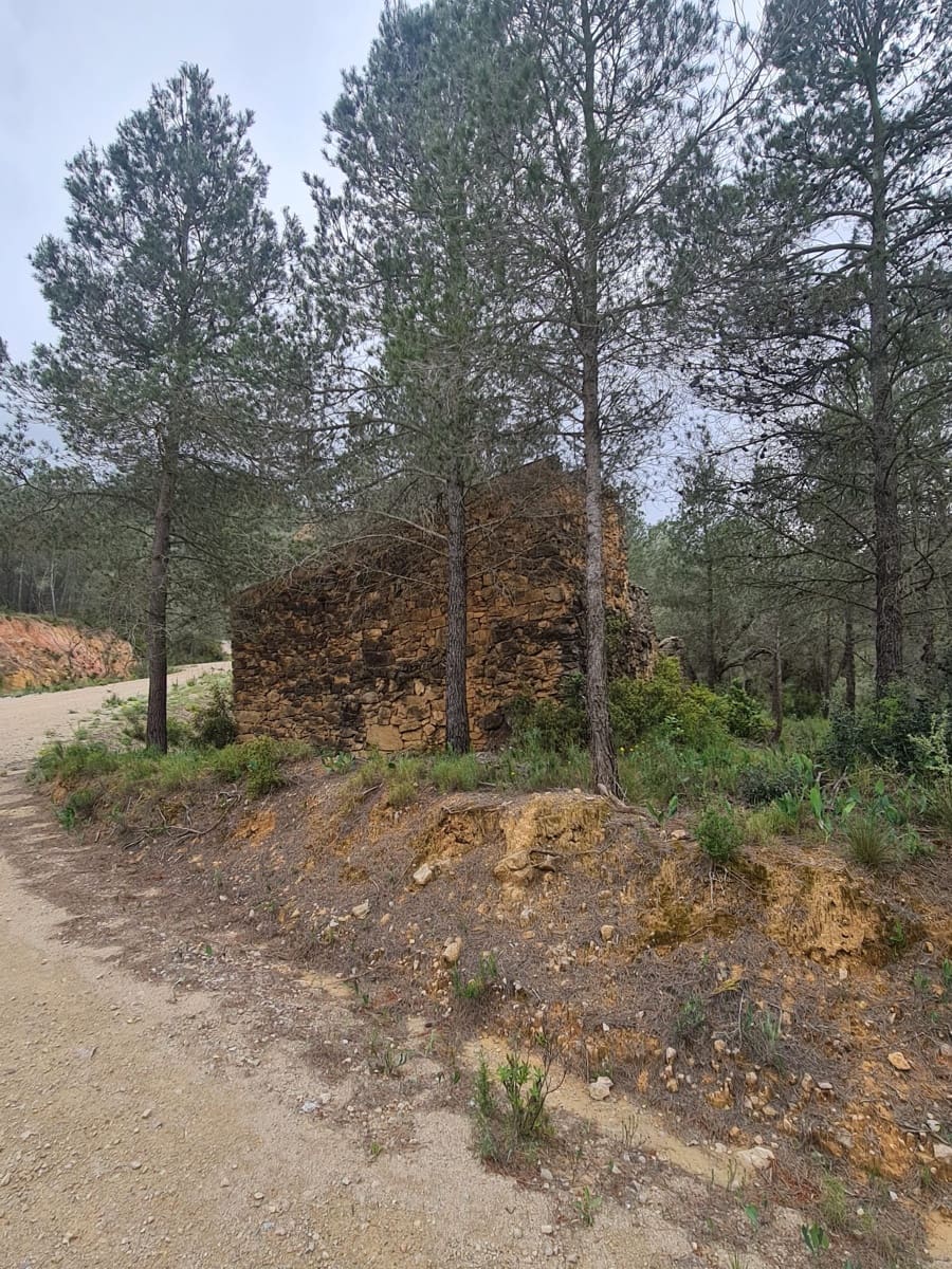 Finca/Landhuis te koop in Asco - € 12.000 (Ref: 8993913)