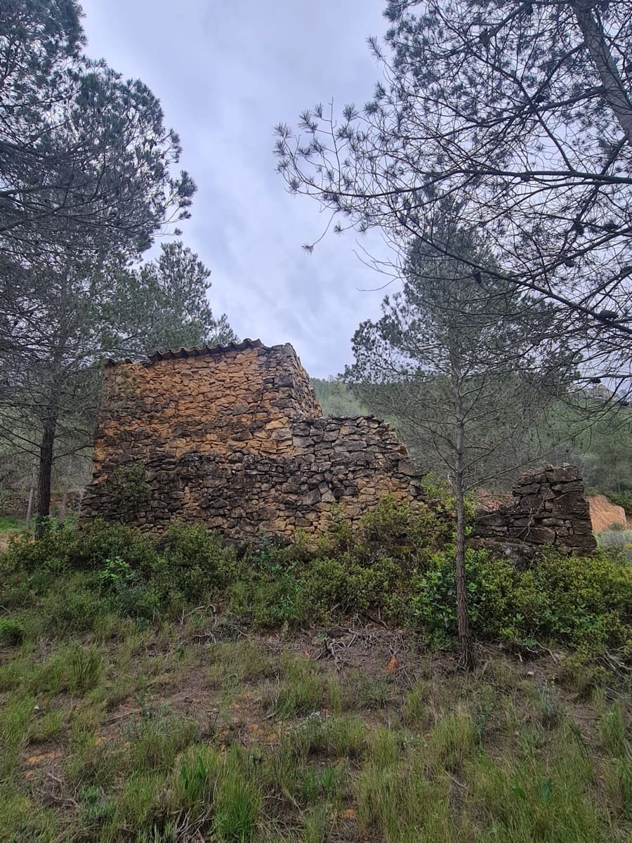 Finca/Landhuis te koop in Asco - € 12.000 (Ref: 8993913)