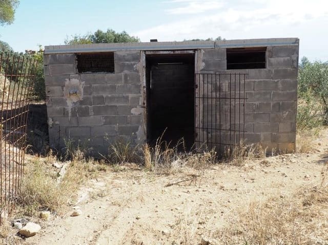 Finca/Landhuis te koop in Riba-roja d'Ebre - € 29.000 (Ref: 9034722)