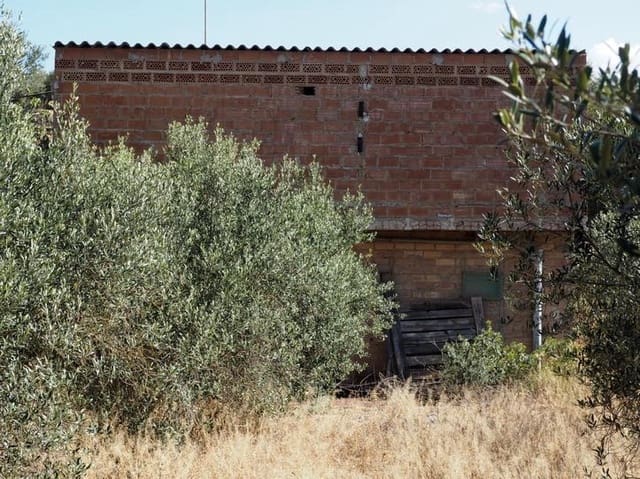 Finca/Landhuis te koop in Riba-roja d'Ebre - € 29.000 (Ref: 9034722)