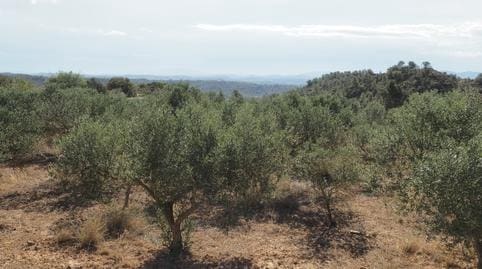 Finca/Casa di Campagna in vendita in Riba-roja d'Ebre - 29.000 € (Rif: 9034722)