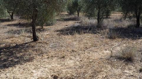 Finca/Casa di Campagna in vendita in Riba-roja d'Ebre - 29.000 € (Rif: 9034722)