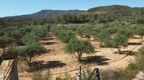 Finca/Casa di Campagna in vendita in Riba-roja d'Ebre - 29.000 € (Rif: 9034722)