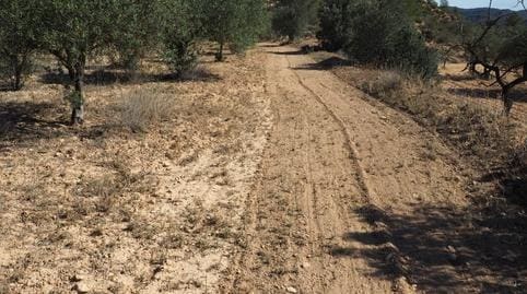 Finca/Casa di Campagna in vendita in Riba-roja d'Ebre - 29.000 € (Rif: 9034722)