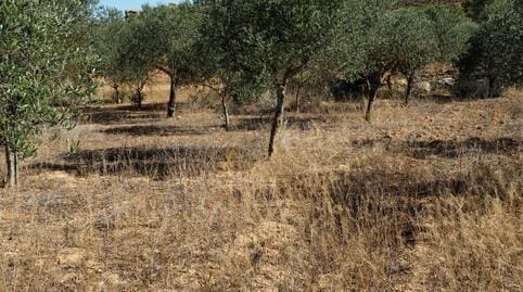 Finca/Casa di Campagna in vendita in Riba-roja d'Ebre - 29.000 € (Rif: 9034722)