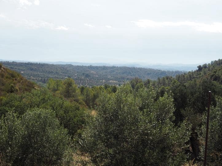 Finca/Casa di Campagna in vendita in Riba-roja d'Ebre - 29.000 € (Rif: 9034722)