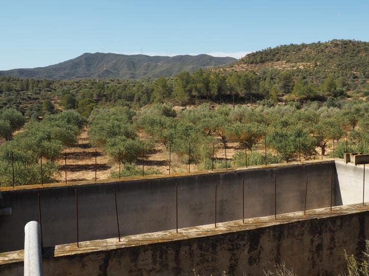 Finca/Casa di Campagna in vendita in Riba-roja d'Ebre - 29.000 € (Rif: 9034722)