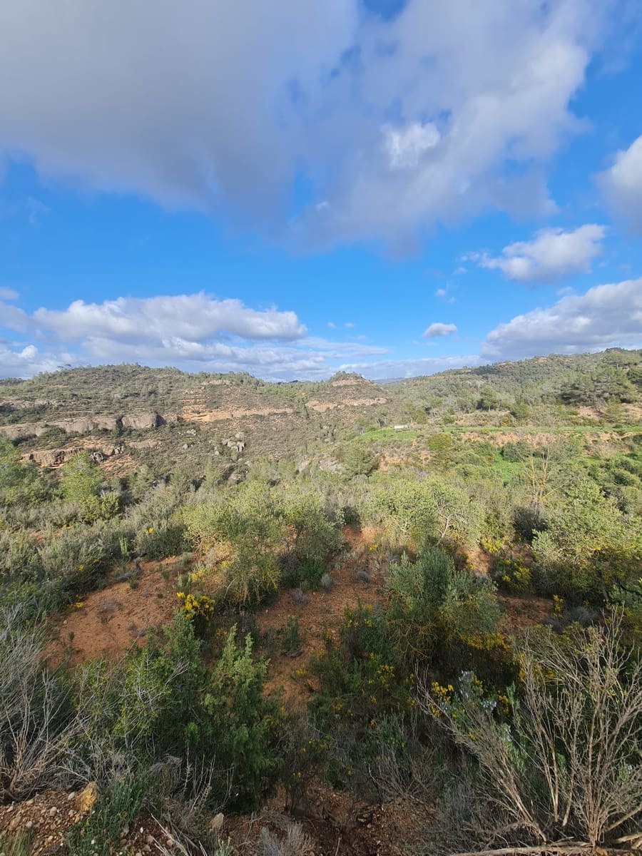 Finca/Landehus til salg i Flix - € 20.000 (Ref: 9116878)