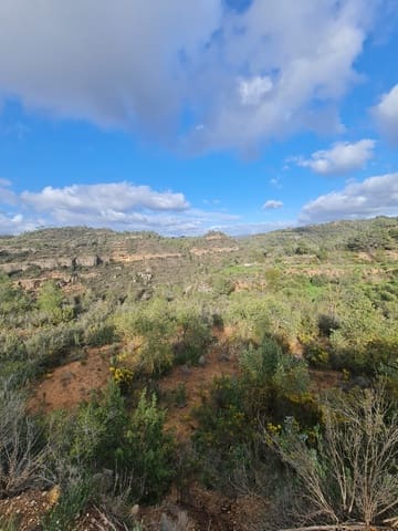 Finca/Landehus til salg i Flix - € 20.000 (Ref: 9116878)