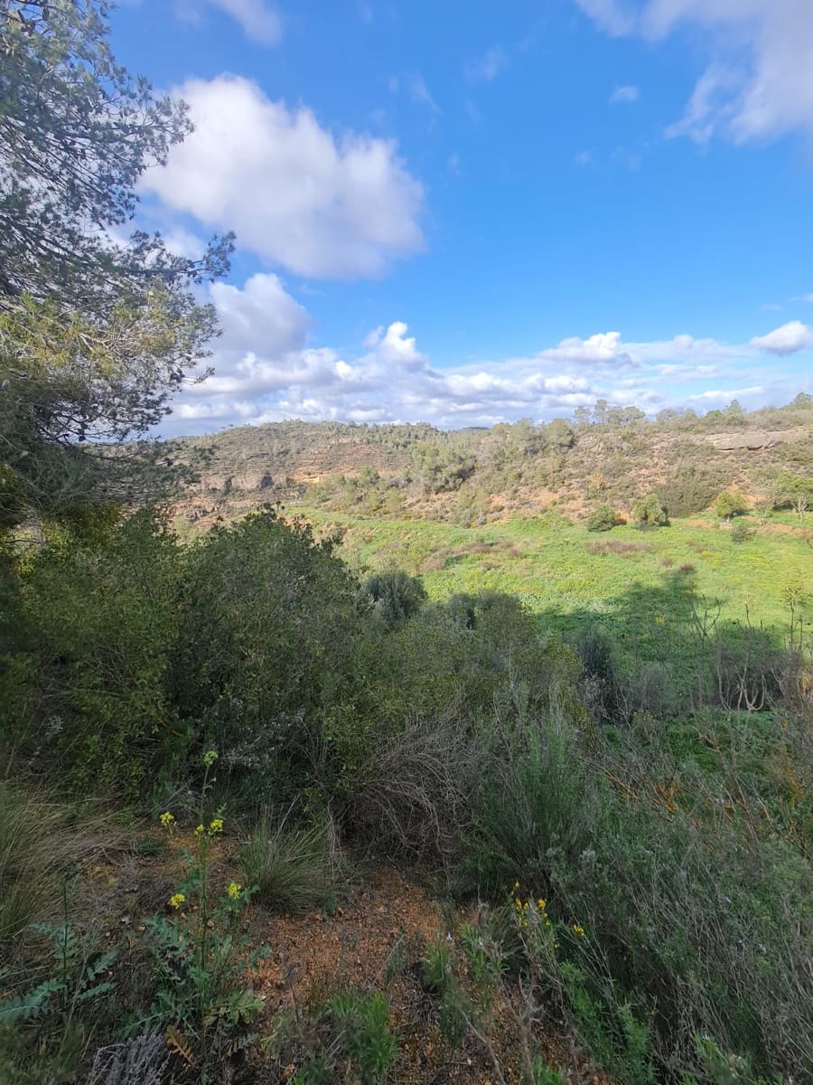 Finca/Landehus til salg i Flix - € 20.000 (Ref: 9116878)