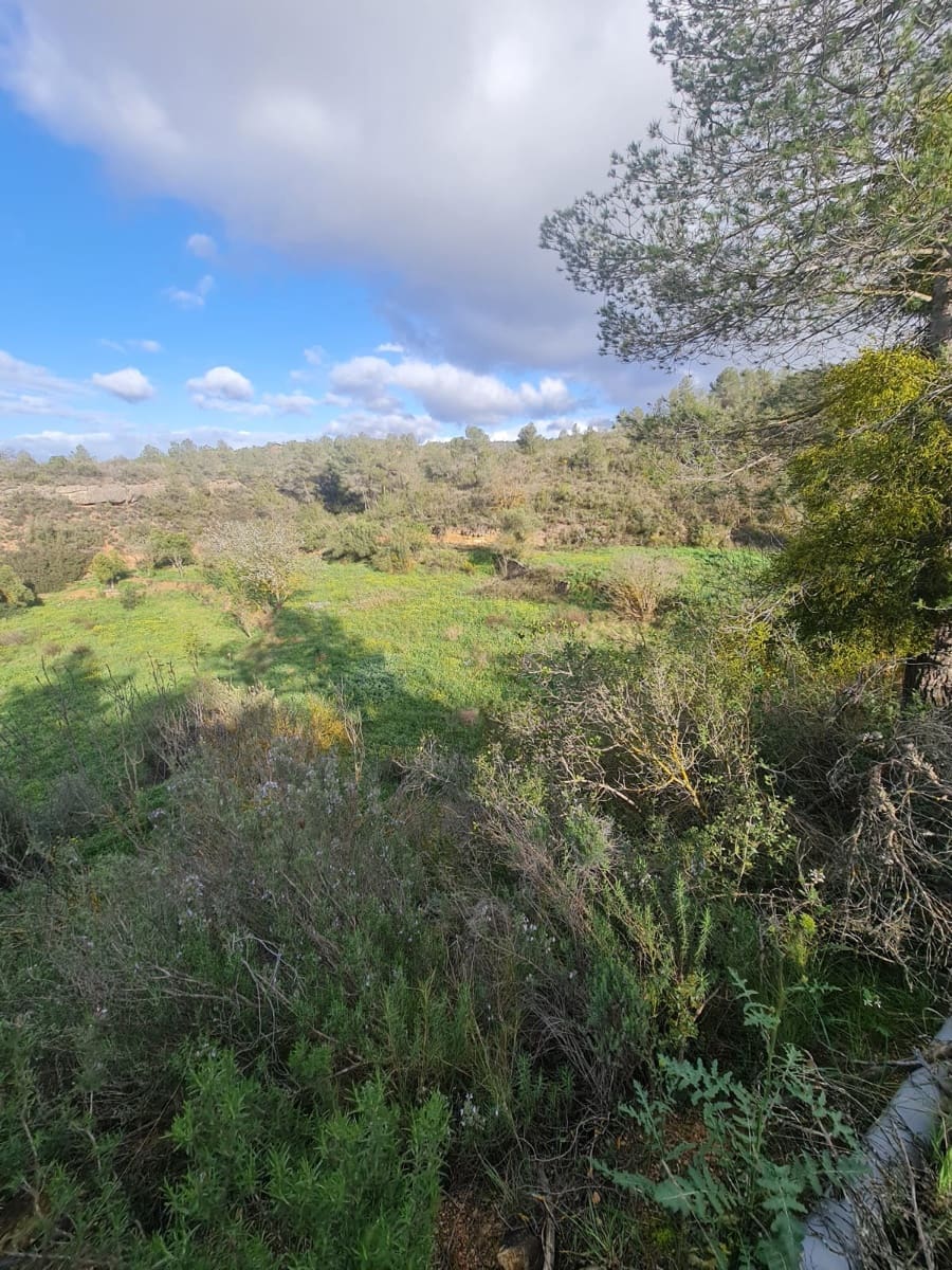 Finca/Landehus til salg i Flix - € 20.000 (Ref: 9116878)