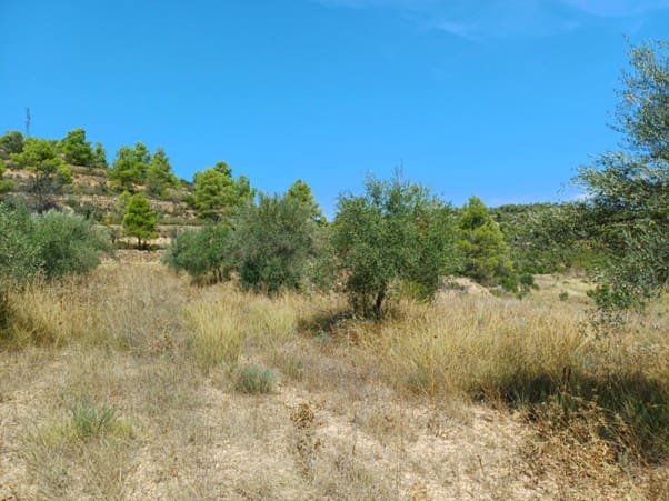 2 quarto Casa Móvel para venda em La Palma d'Ebre - 29 000 € (Ref: 9271893)