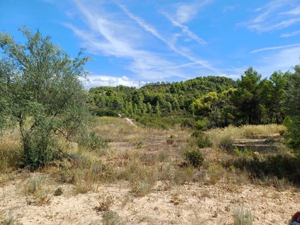 2 quarto Casa Móvel para venda em La Palma d'Ebre - 29 000 € (Ref: 9271893)