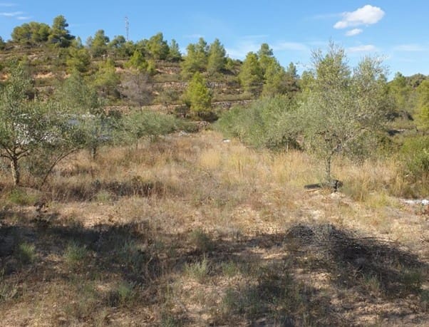 2 quarto Casa Móvel para venda em La Palma d'Ebre - 29 000 € (Ref: 9271893)