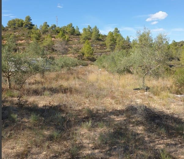 2 quarto Casa Móvel para venda em La Palma d'Ebre - 29 000 € (Ref: 9271893)