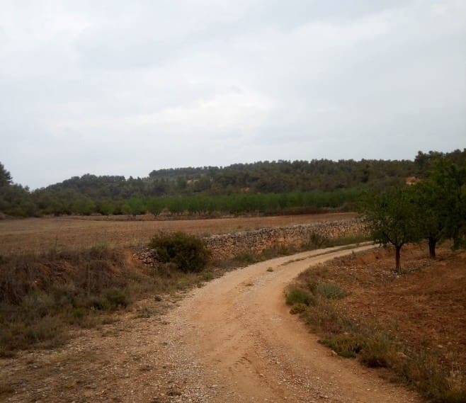 2 quarto Casa Móvel para venda em La Palma d'Ebre - 29 000 € (Ref: 9271893)