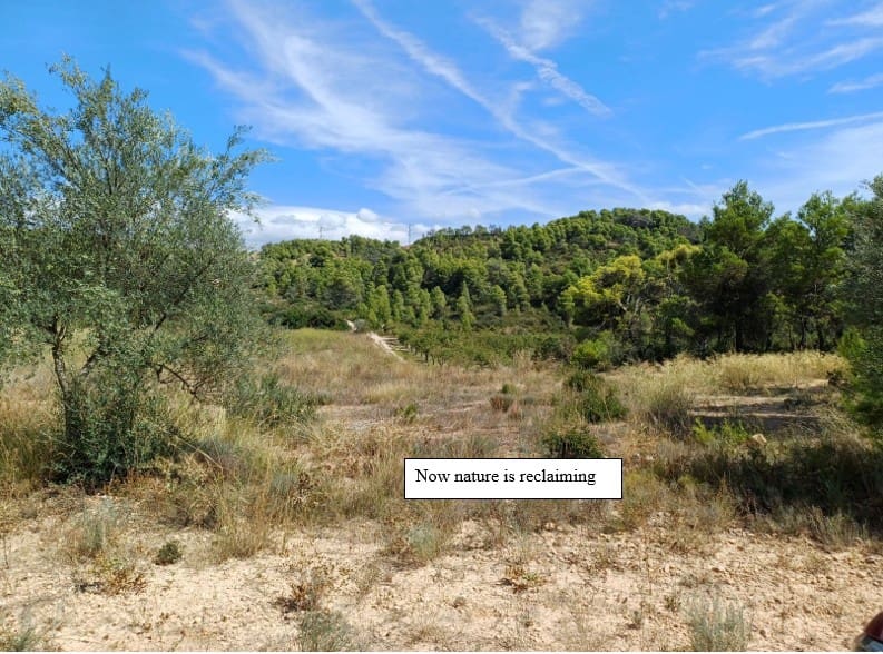 2 quarto Casa Móvel para venda em La Palma d'Ebre - 29 000 € (Ref: 9271893)