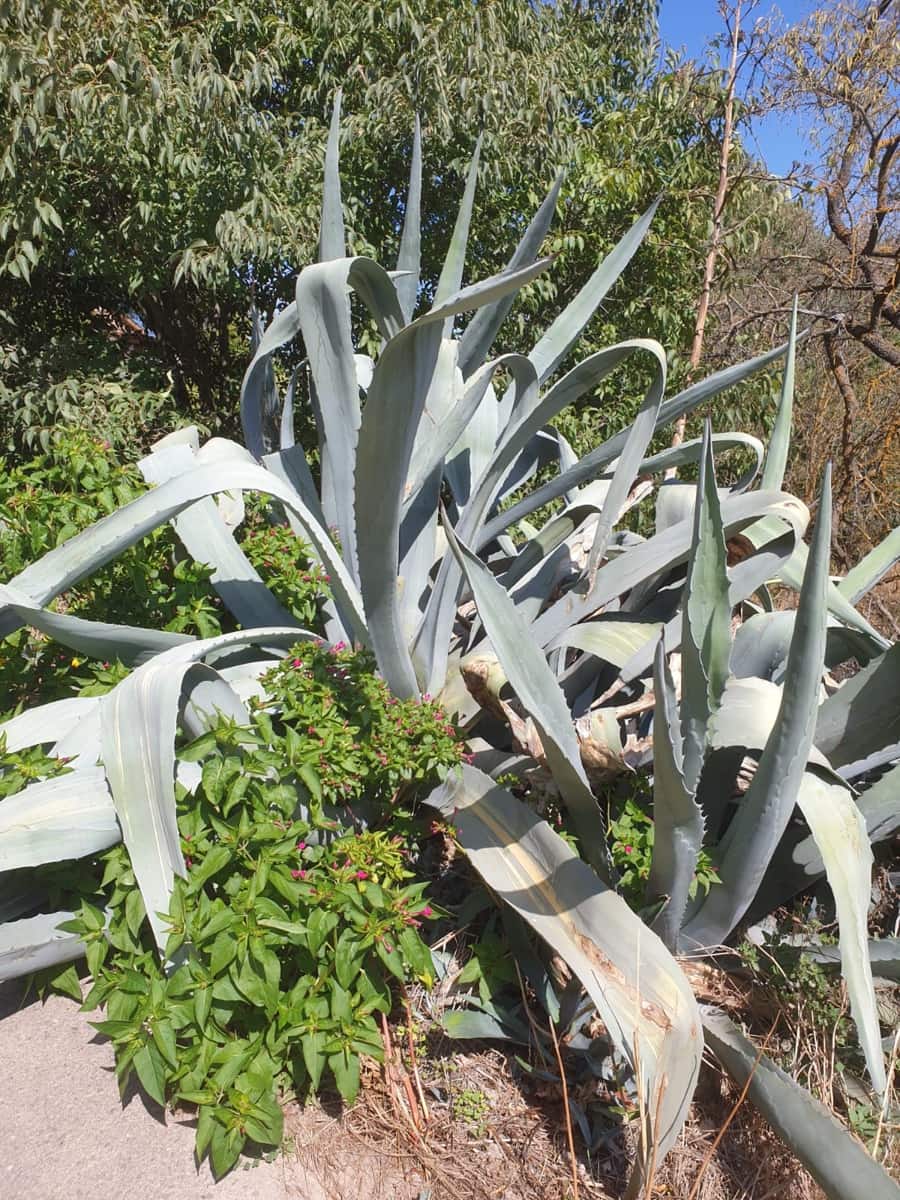 2 quarto Casa Móvel para venda em La Palma d'Ebre - 29 000 € (Ref: 9271893)