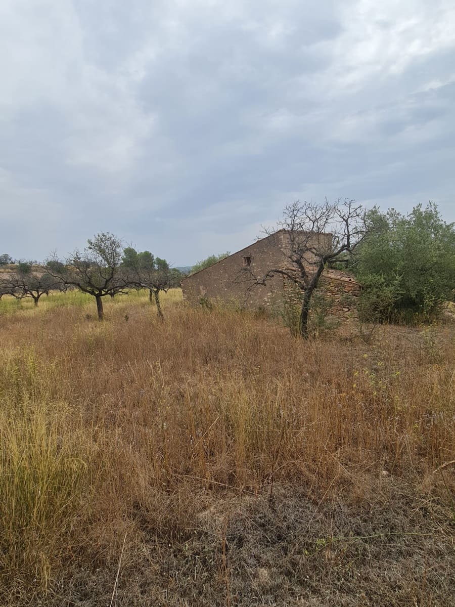 Finca/Casa di Campagna in vendita in El Pinell de Brai - 21.000 € (Rif: 9322731)