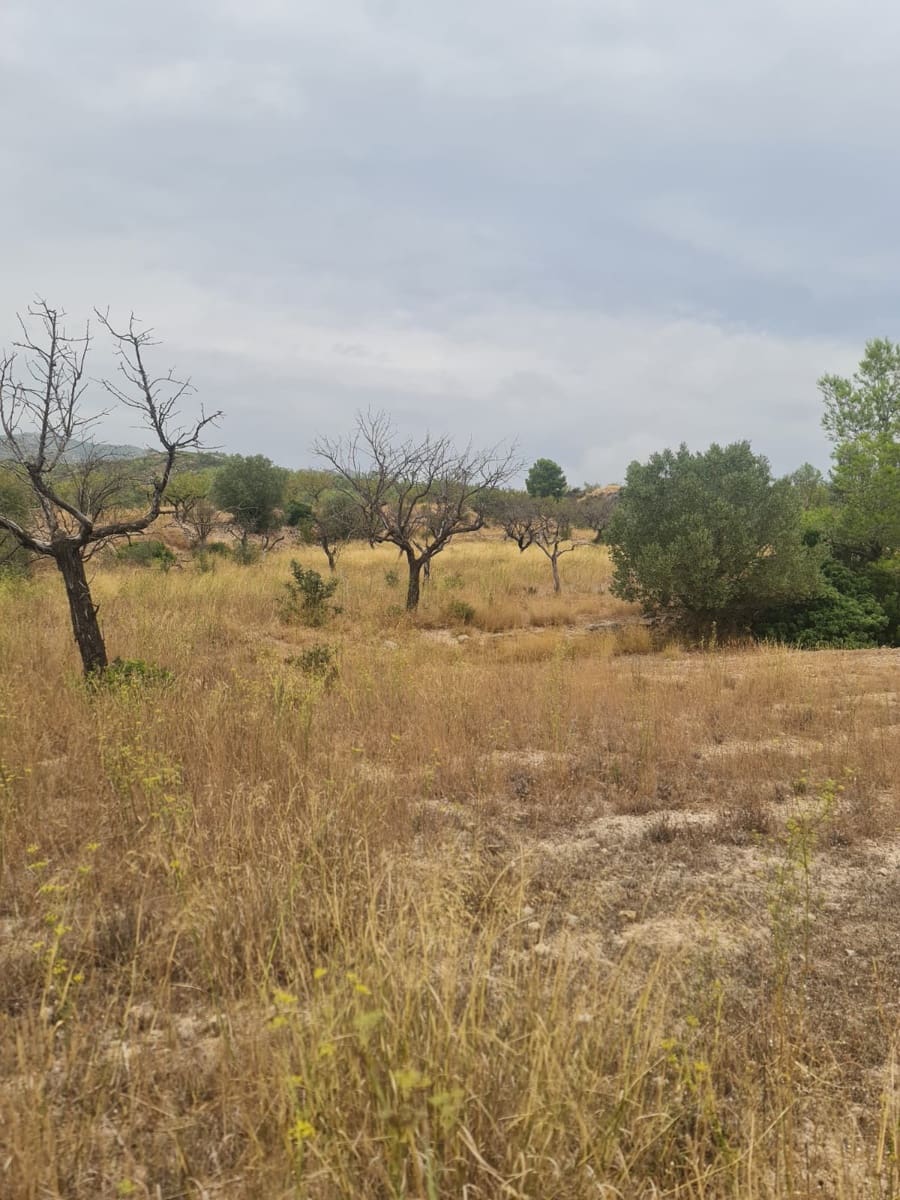 Finca/Casa di Campagna in vendita in El Pinell de Brai - 21.000 € (Rif: 9322731)