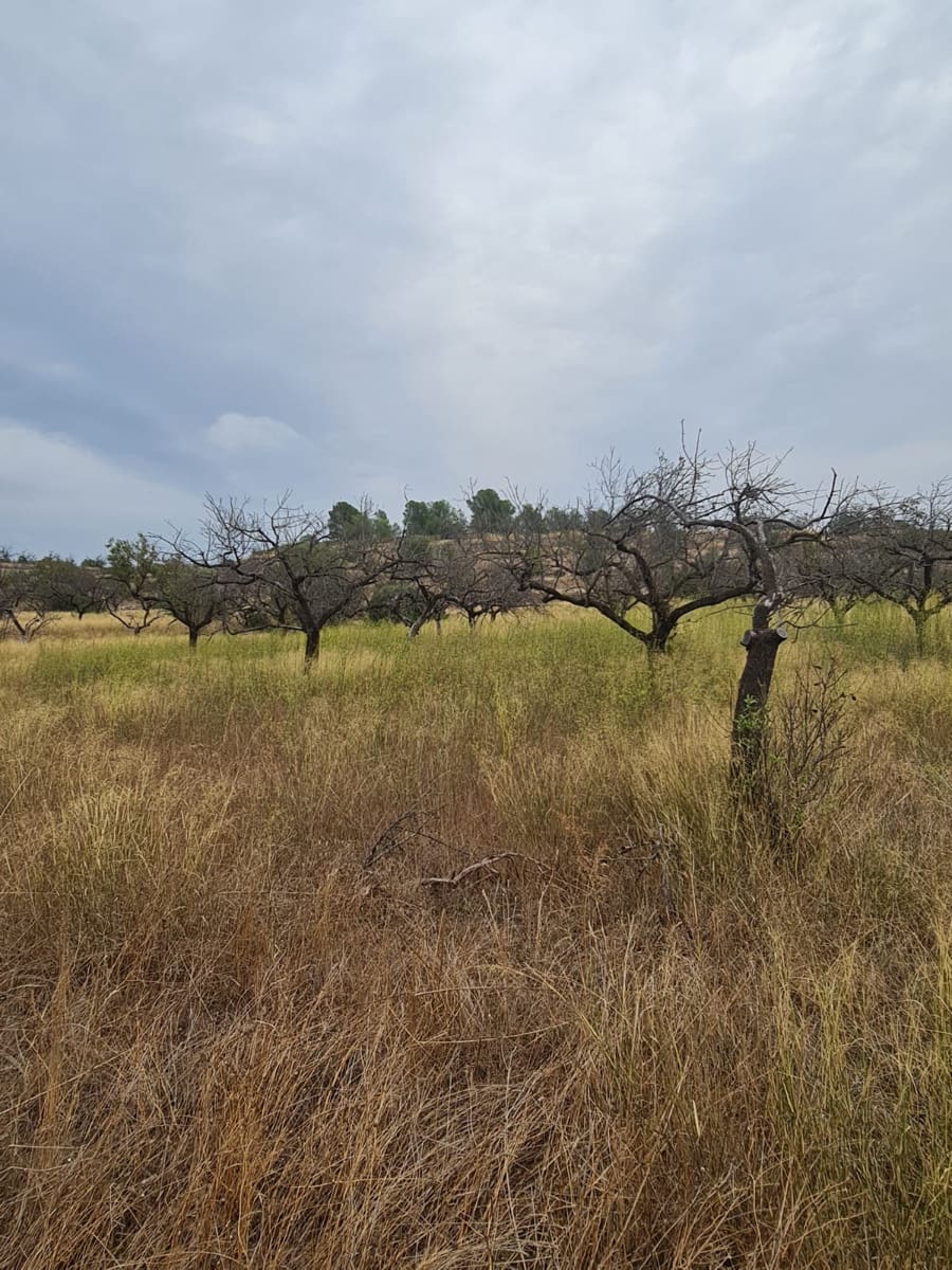 Finca/Casa di Campagna in vendita in El Pinell de Brai - 21.000 € (Rif: 9322731)