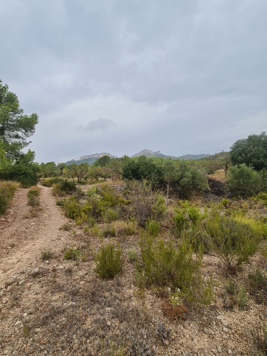 Finca/Casa di Campagna in vendita in El Pinell de Brai - 21.000 € (Rif: 9322731)