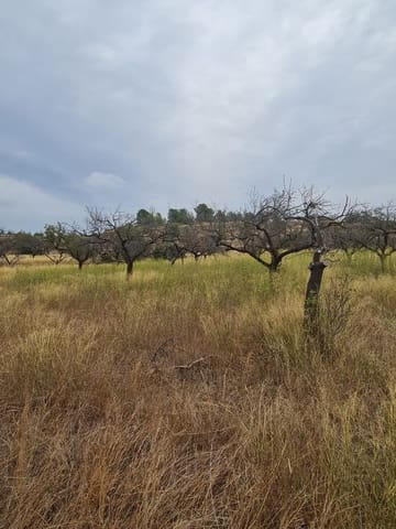 Finca/Landehus til salg i El Pinell de Brai - € 21.000 (Ref: 9322731)